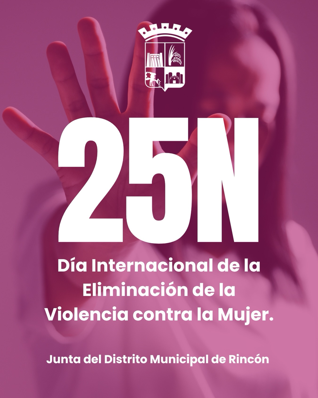 DIA INTERNACIONAL DE LA ELIMINACION DE LA VIOLENCIA CONTRA LA MUJER.-